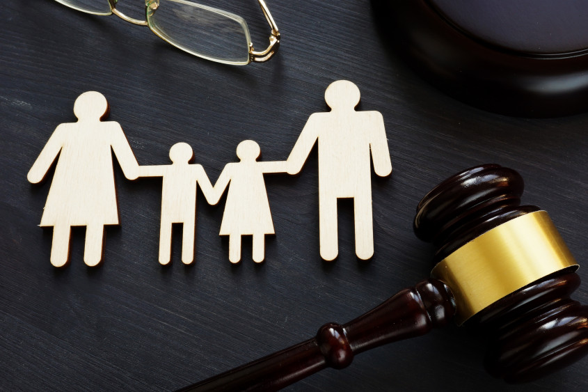 Mediation Family Law FL